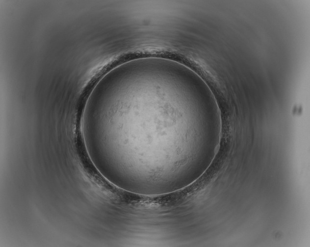 X0000090890640200707271333