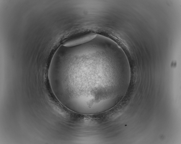 X0000090890641200707271333