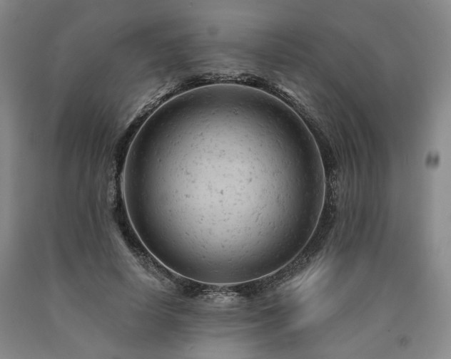 X0000090890642200707271333