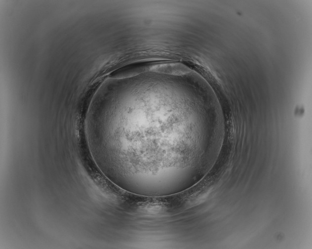 X0000090890643200707271333