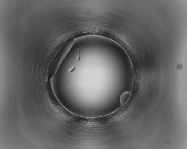 X0000090890645200707271333