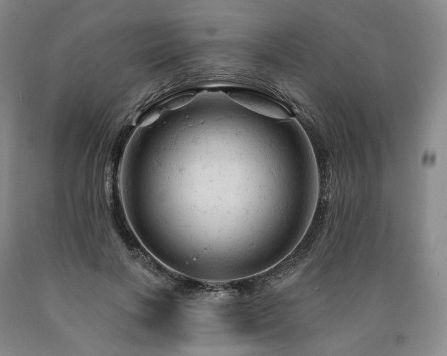 X0000090890646200707271333