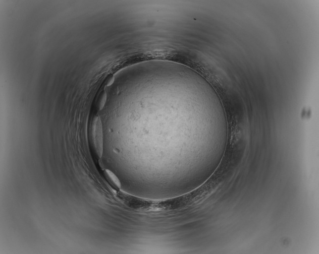 X0000090890647200707271333