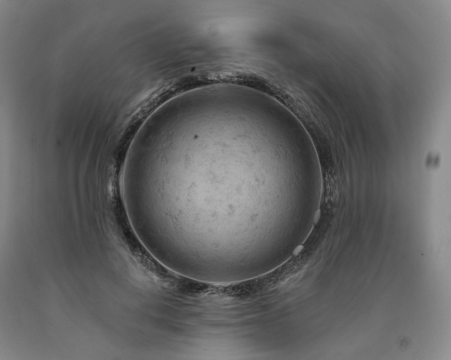 X0000090890648200707271333