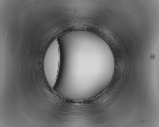 X0000090890649200707271333