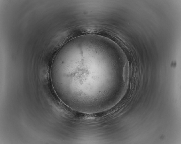 X0000090890651200707271333