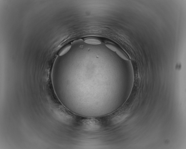 X0000090890652200707271333