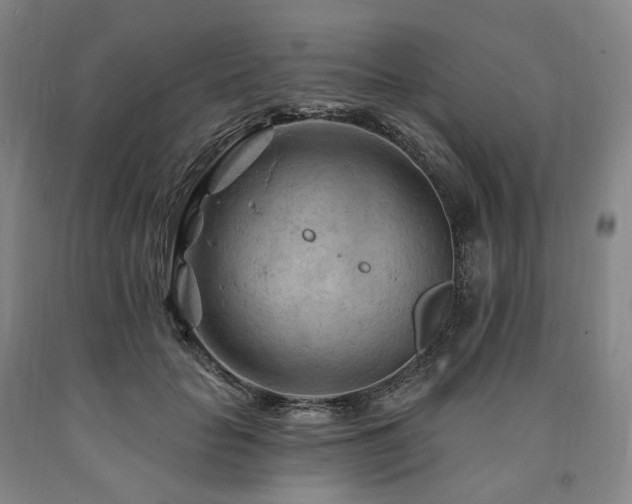 X0000090890653200707271333