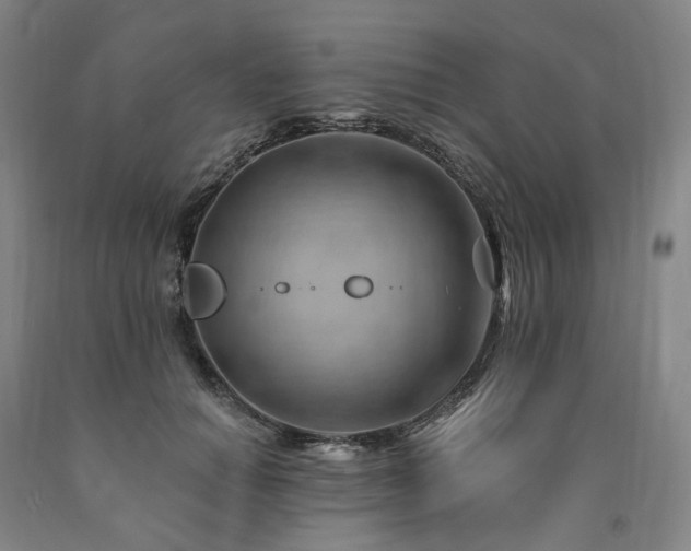 X0000090890654200707271333