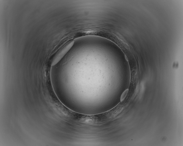 X0000090890655200707271333