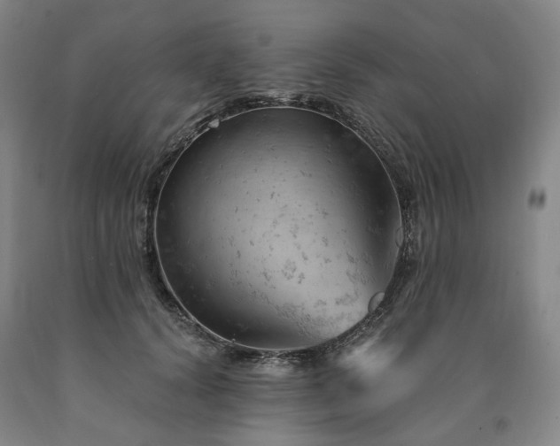 X0000090890656200707271333