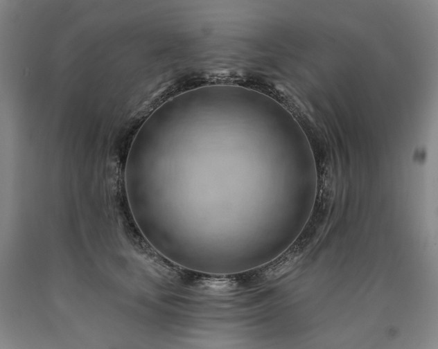 X0000090890659200707271333