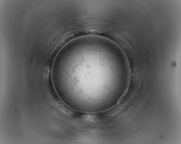 X0000090890660200707271333