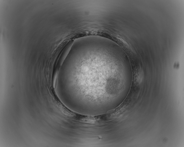 X0000090890661200707271333