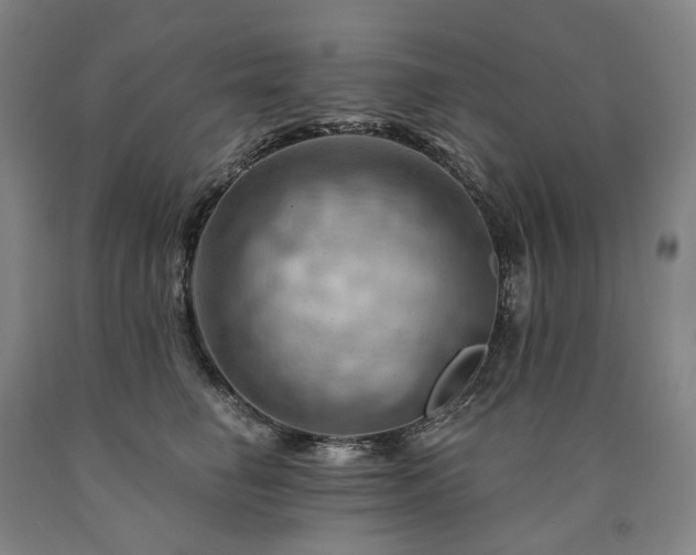 X0000090890662200707271333