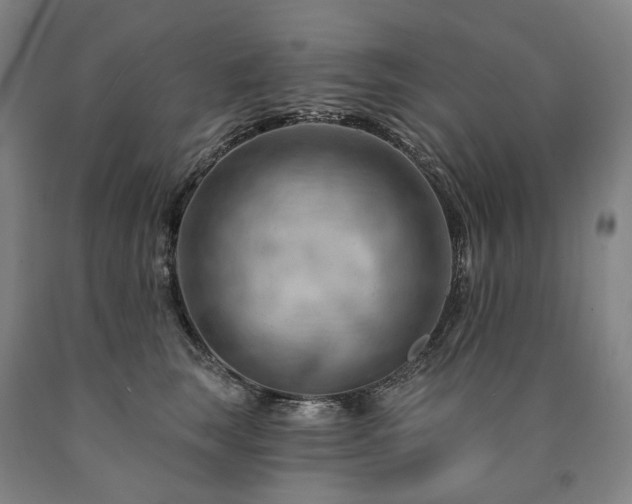 X0000090890663200707271333