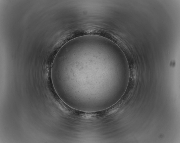 X0000090890664200707271333