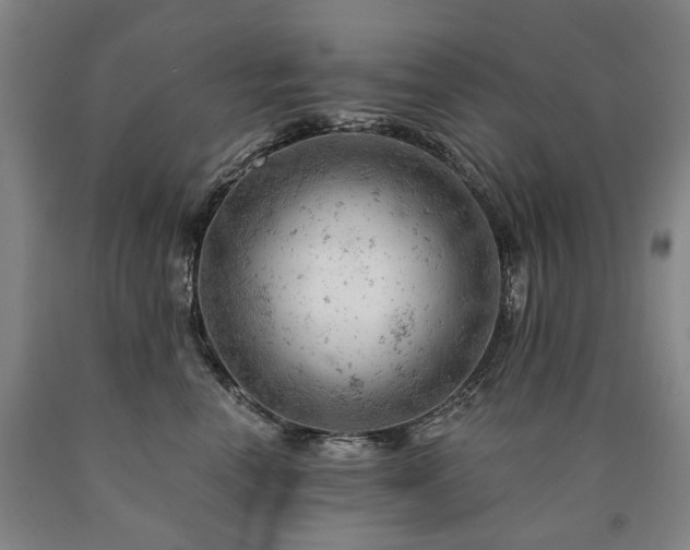 X0000090890666200707271333