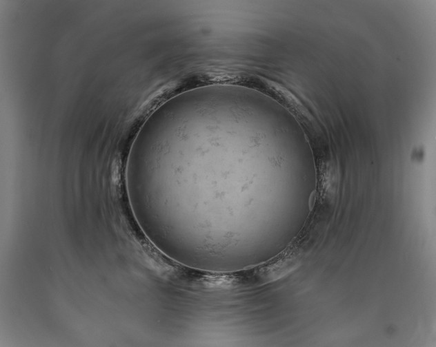 X0000090890667200707271333