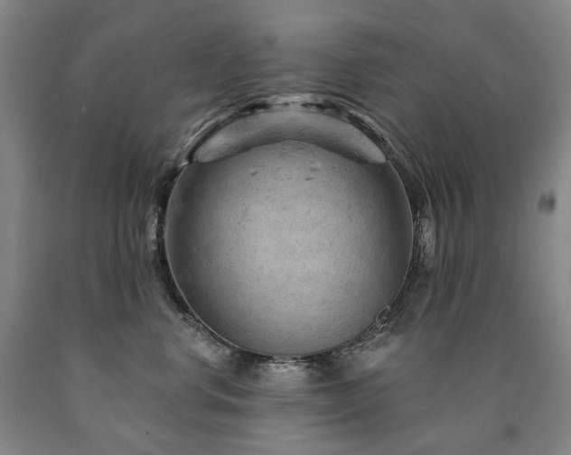 X0000090890668200707271333