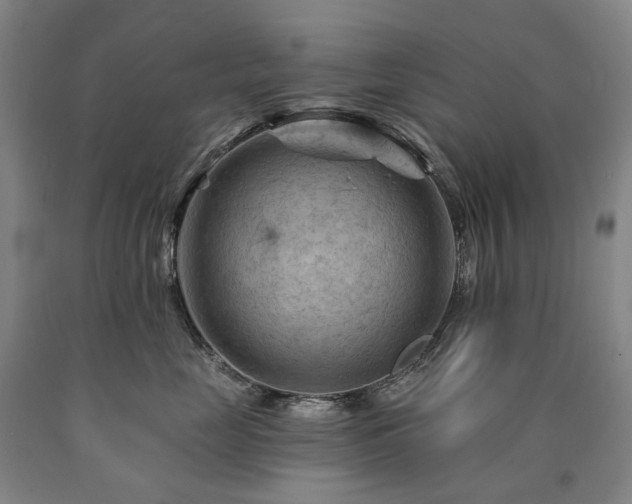 X0000090890669200707271333