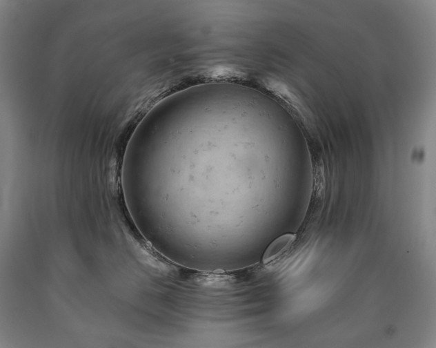 X0000090890670200707271333