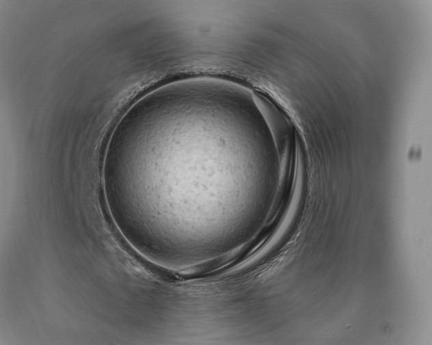 X0000090890673200707271332