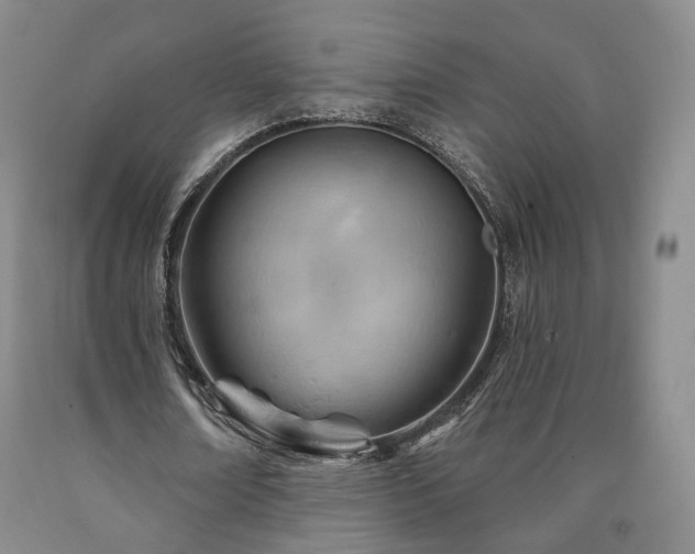 X0000090890674200707271332