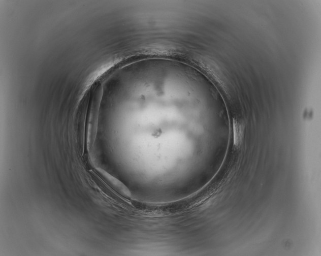 X0000090890675200707271332