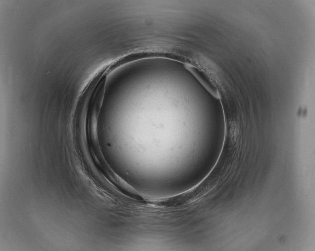 X0000090890676200707271332