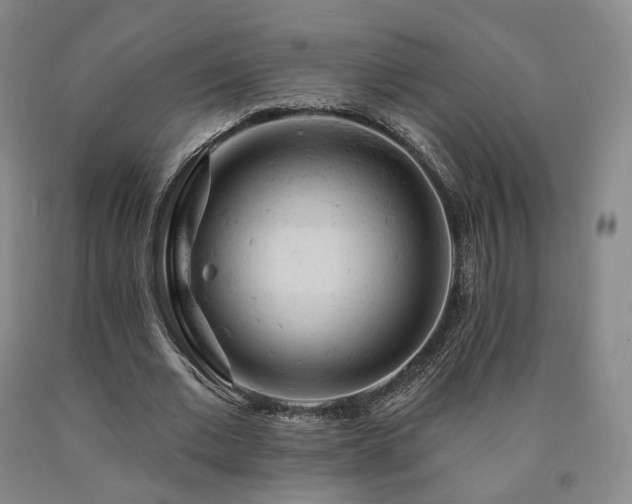 X0000090890677200707271332