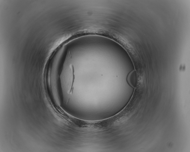 X0000090890678200707271332