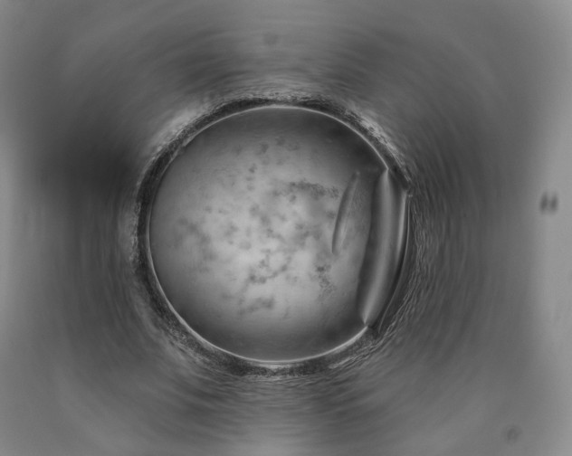 X0000090890679200707271332