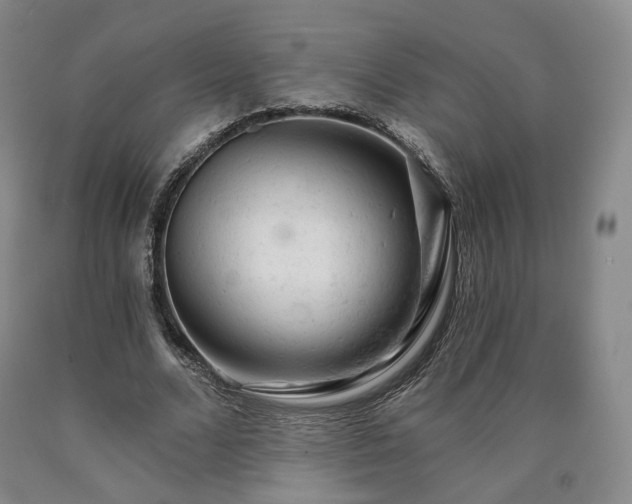 X0000090890680200707271332