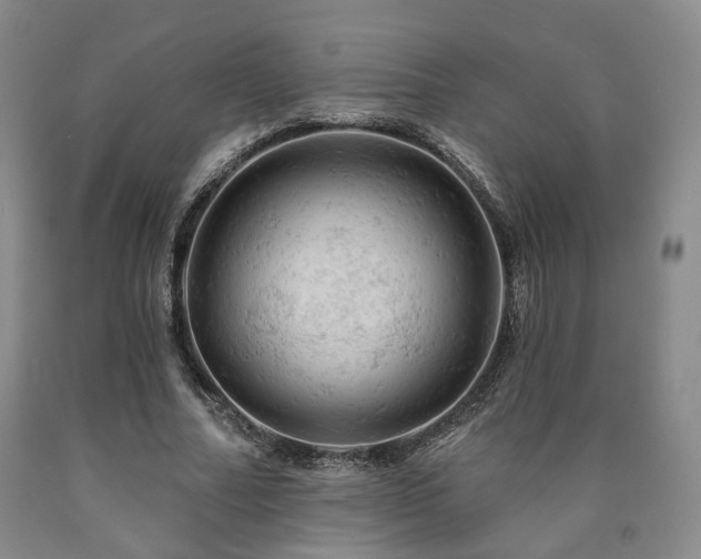 X0000090890682200707271332