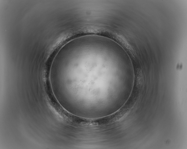 X0000090890683200707271332