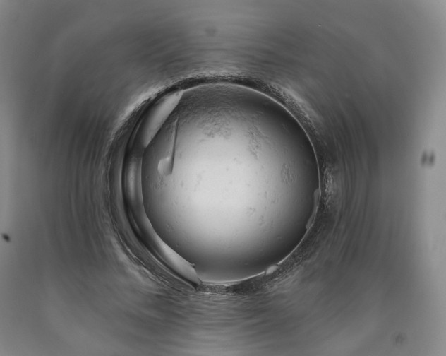 X0000090890684200707271332