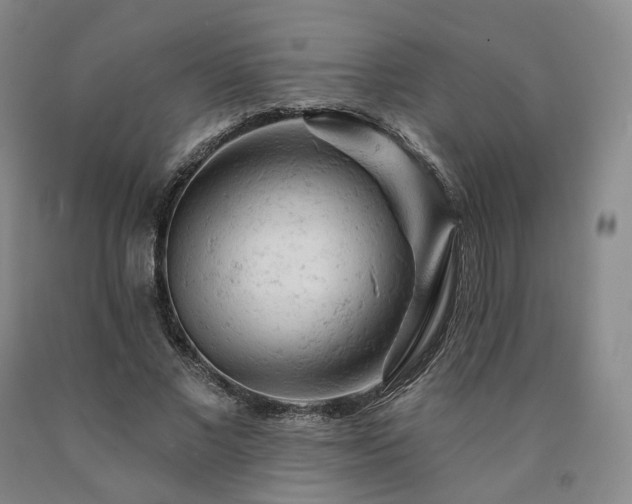 X0000090890685200707271332