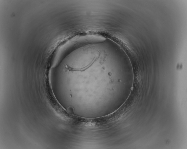 X0000090890687200707271332