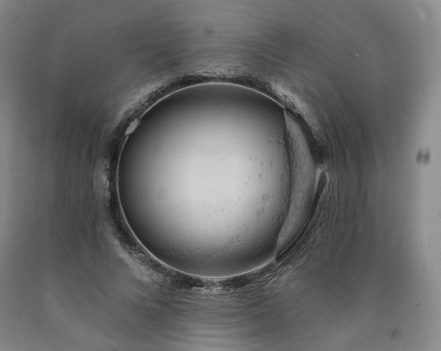 X0000090890688200707271332