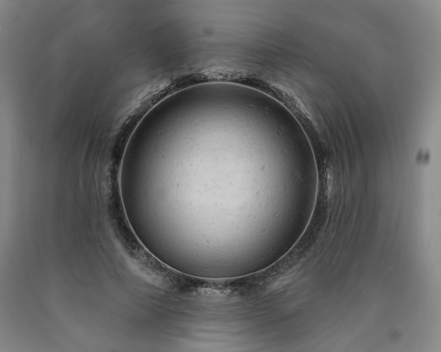 X0000090890690200707271332