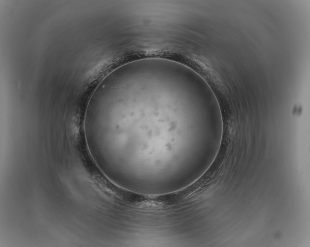 X0000090890691200707271332