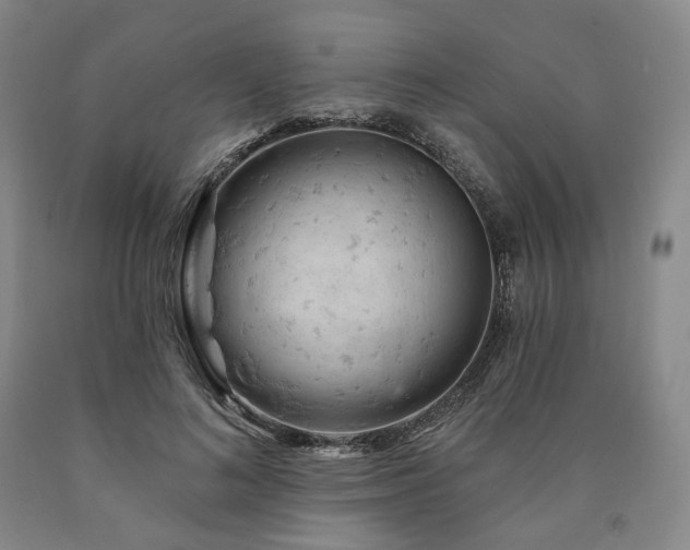 X0000090890692200707271332