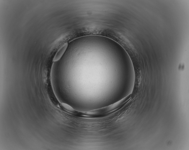 X0000090890693200707271332