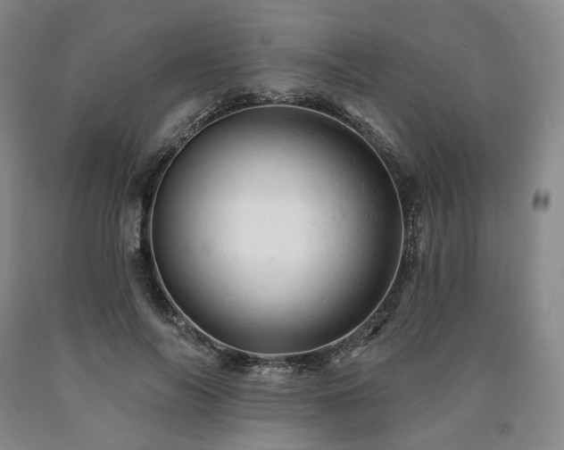 X0000090890694200707271332