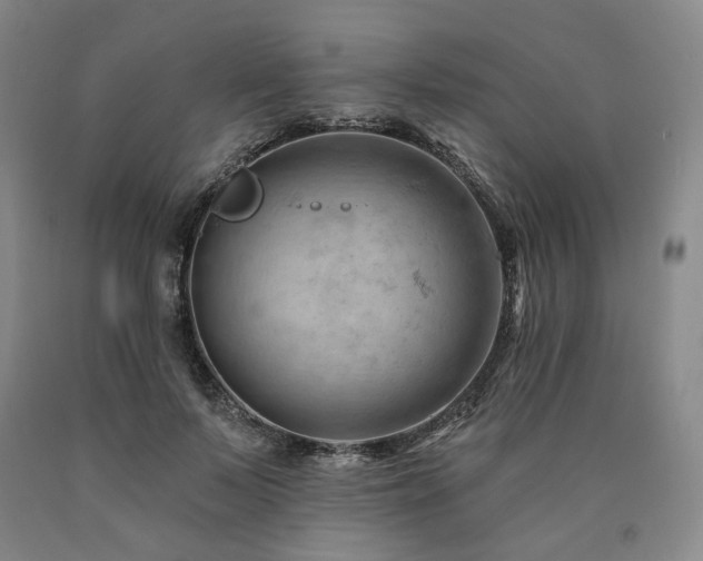 X0000090890695200707271332