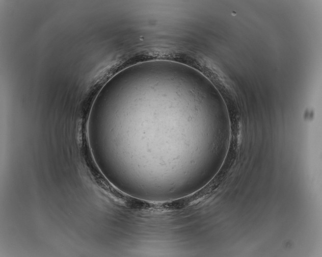 X0000090890696200707271332