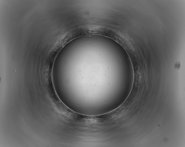 X0000090890698200707271332