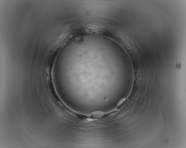 X0000090890699200707271332