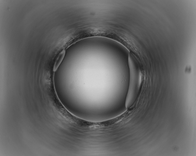 X0000090890700200707271332